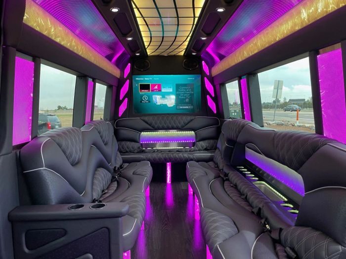 Sprinter limo lounge with TV – Denver limo service