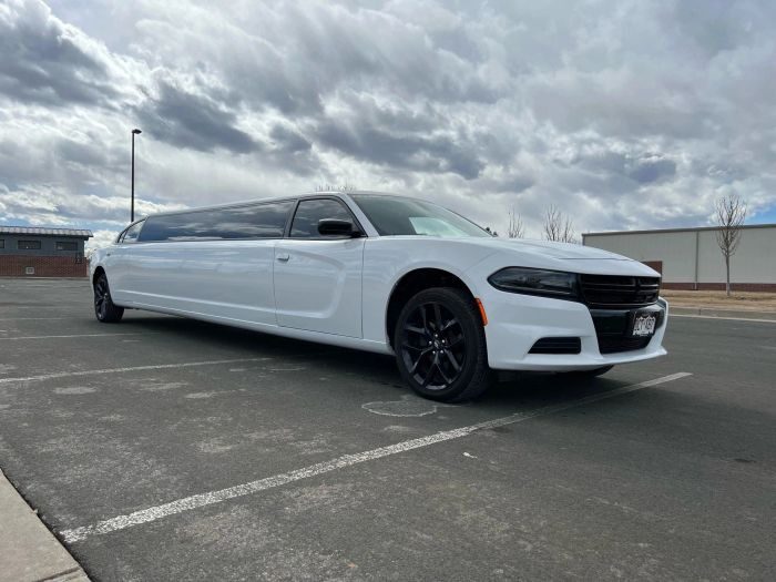 White stretch limo – Denver limo service